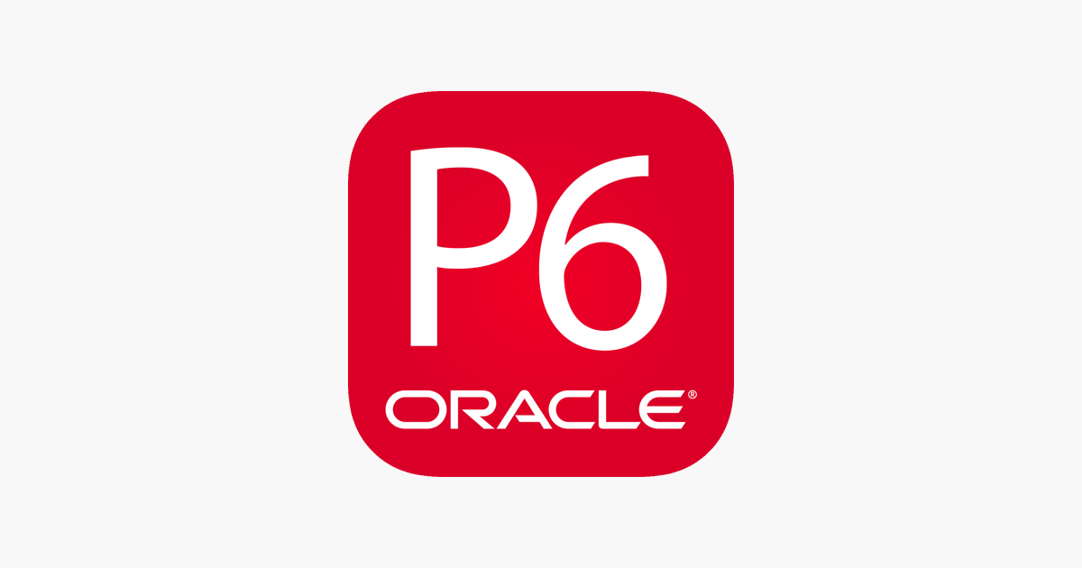 Primavera P6 Professional